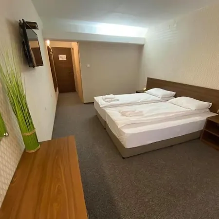 Hotel Loznitsa *